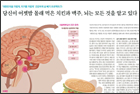 당신이 어젯밤 몰래 먹은 치킨과 맥주, 뇌는 모든 것을 알고 있다 - 내분비대사내과 김대중 교수