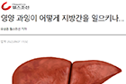 영양 과잉이 어떻게 지방간을 일으키나… 원인 밝혀져 - 생리학교실 강엽·최성이 교수