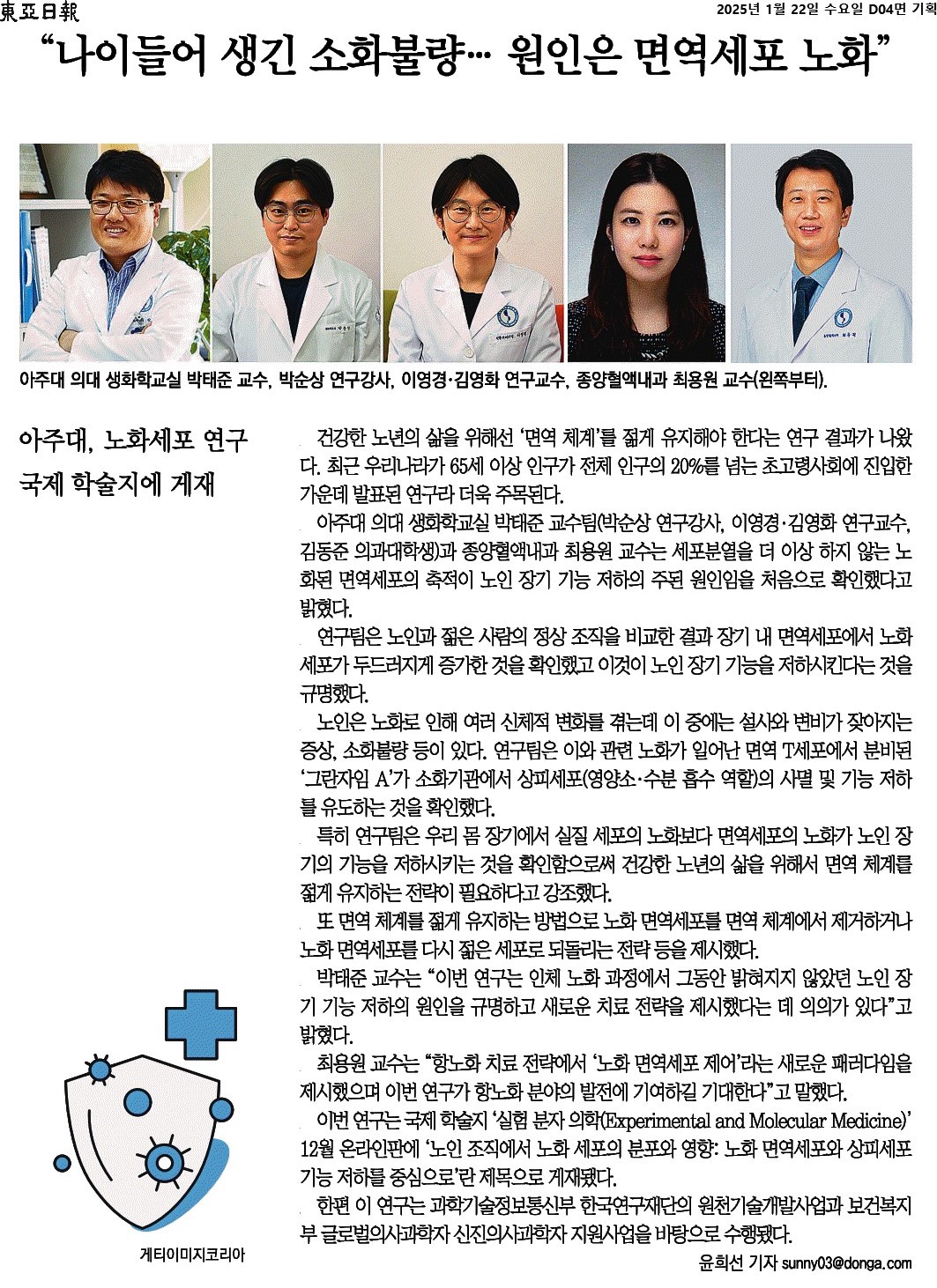 “나이들어 생긴 소화불량… 원인은 면역세포 노화”