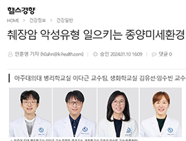 췌장암 악성유형 일으키는 종양미세환경인자 처음 밝혀냈다