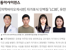 [의학바이오게시판] 자가포식 단백질 'LC3B', 유전체 손상 복구 능력 최초 확인 